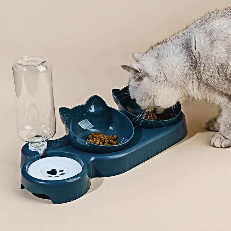 3 in 1 Tilted Cat Bowl Set with Water Feeder Raised Design