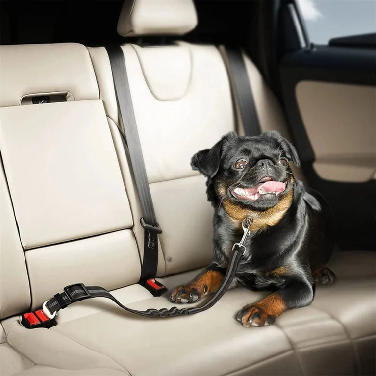 Adjustable Reflective Dog Car Seat Belt Harness With Lights Safety Travel Belt