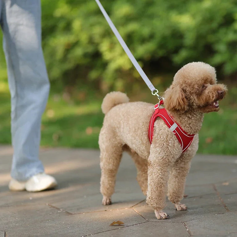 Puppy Dog Harness Set Reflective Adjustable Small Pet Vest With Leash