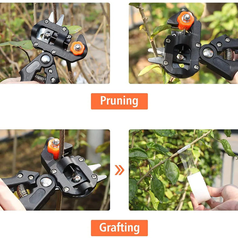 Professional Grafting Pruner Scissor for Fruit Tree Cutting Tool