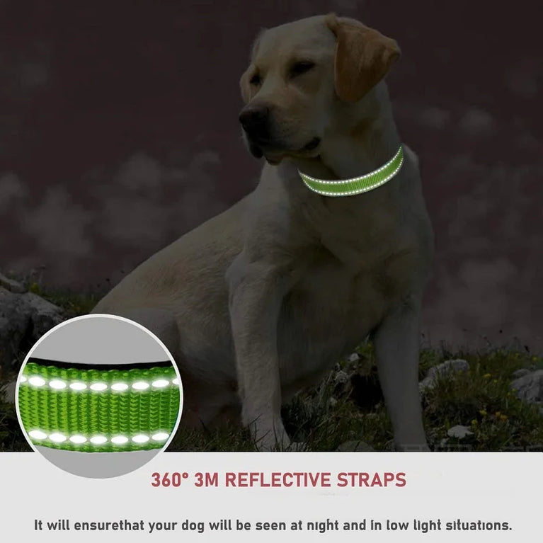 Choker Small Dog Collar Puppy Neck Collars Dogs GXQ07 Adjustable Nylon