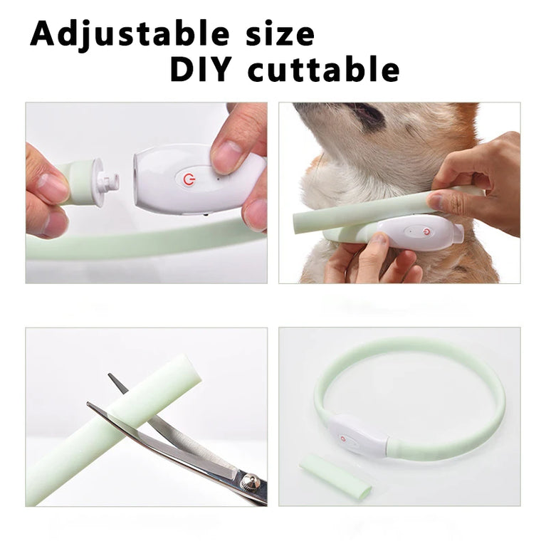 USB Rechargeable LED Glowing Dog Collar 9 Flashing Modes Adjustable