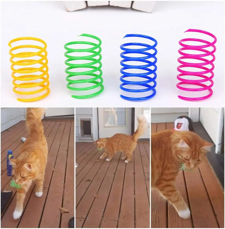 Cat Spring Toy Plastic Spiral Coil Colorful Interactive Kitten Hunting Swatting Pet Toy Set