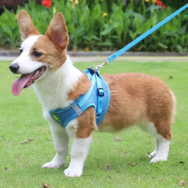 Reflective Breathable Mesh Puppy Dog Harness And Leash Set No Pull Vest