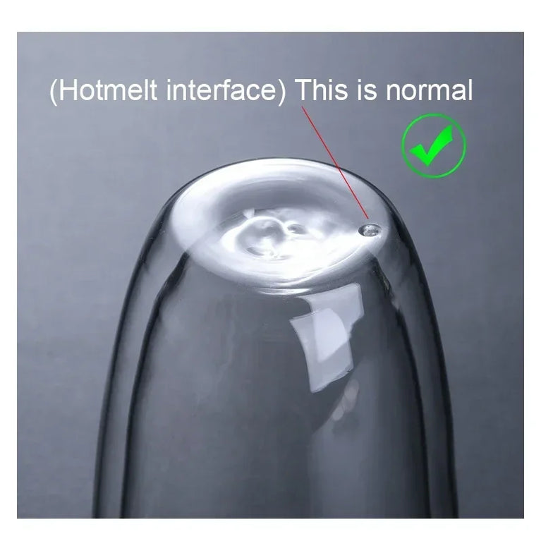 Double-Wall Borosilicate Glass Cup | Heat-Resistant Insulated Drinkware