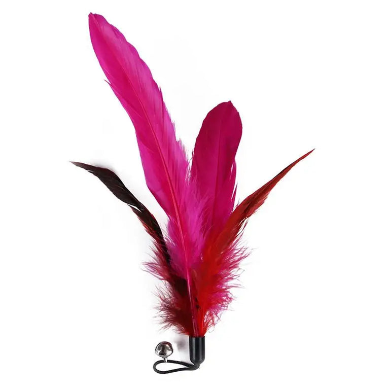 11pcs Replacement Cat Feather Toy Set Retractable Stick Kit Toy