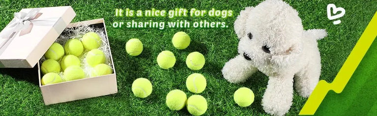 Tennis Balls for Dogs 2-Inch Compatible Automatic Ball Launchers