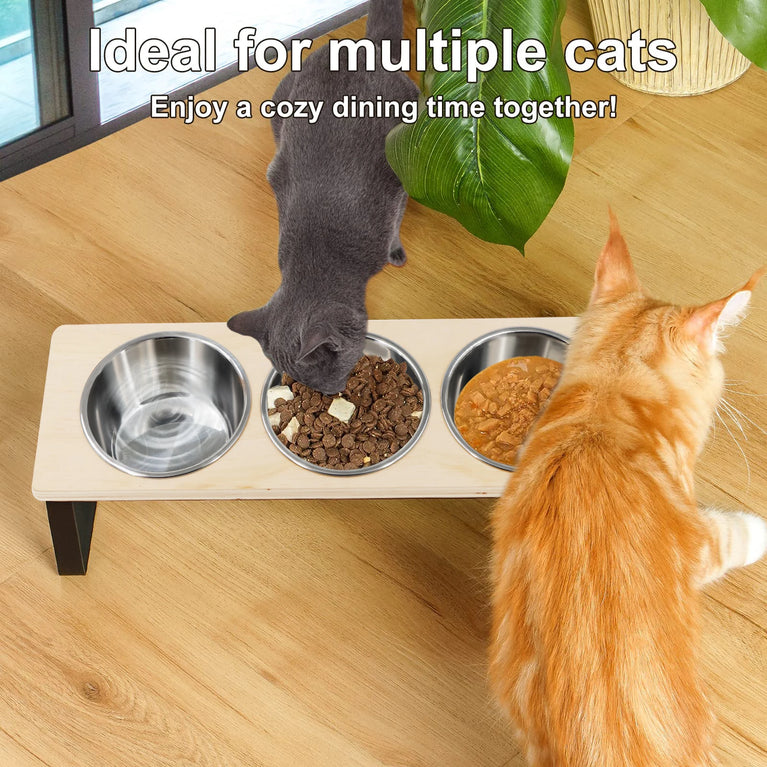 15° Tilted Raised Cat Bowls with 3 Steel Anti Vomiting Feeder