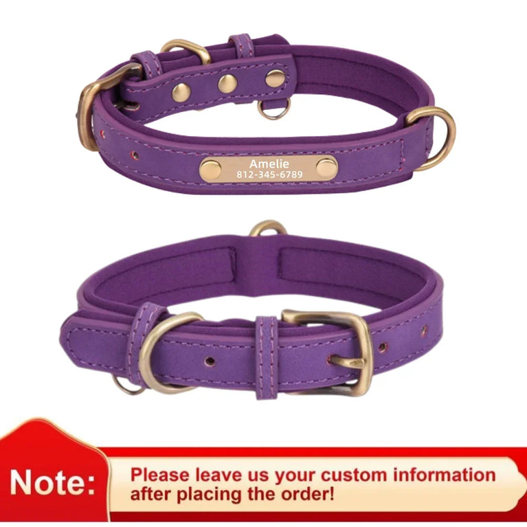 Personalized Leather Dog Collar | Padded ID Nameplate Collar