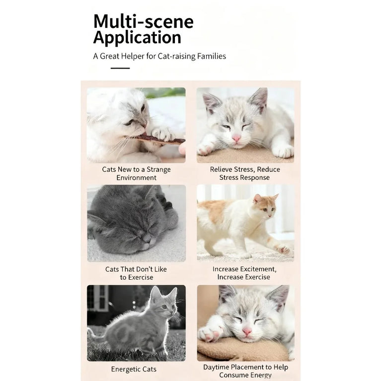 Natural Silvervine Sticks Catnip Chew Teeth Cleaning Dental Molar Cat Toy Set