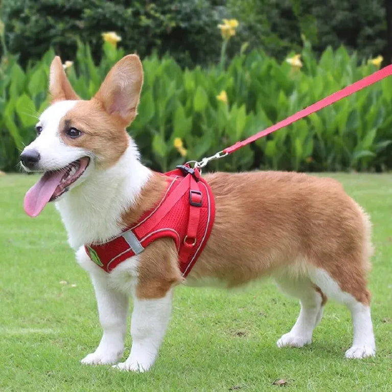 Reflective Breathable Mesh Puppy Dog Harness And Leash Set No Pull Vest