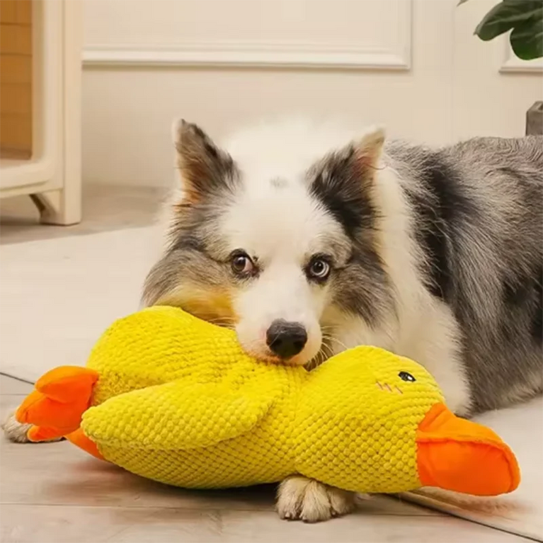 Duck Dog Toy Plush Chew Resistant Durable Dog Toy Quacking Sound
