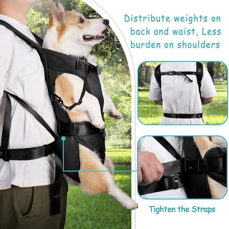 Dogs Carrier Backpack Thickened Sponge Front Dog Carrier HandsFree Dog