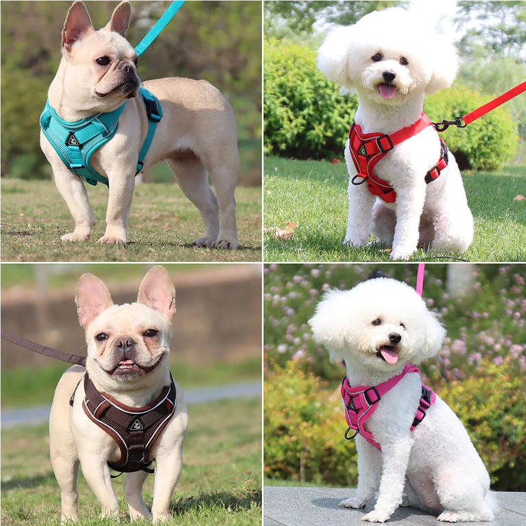 LED Light Reflective Dog Harness Vest With Leash Adjustable Pet Set