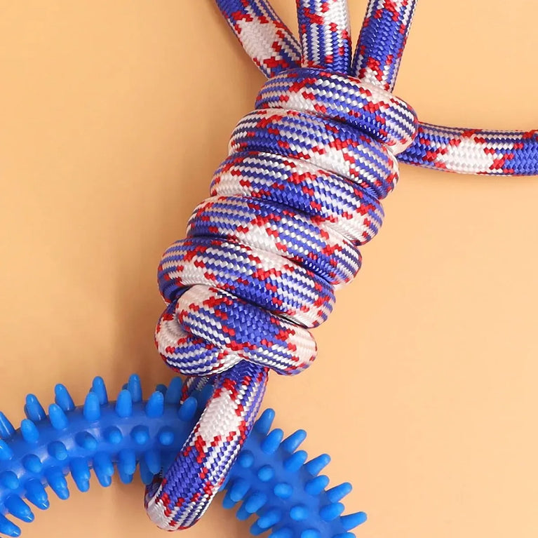Interactive Training Pet Toy Ring Spiked Dog Chew Teeth Cleaning