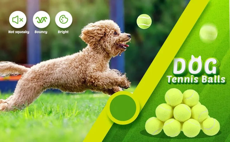 Tennis Balls for Dogs 2-Inch Compatible Automatic Ball Launchers