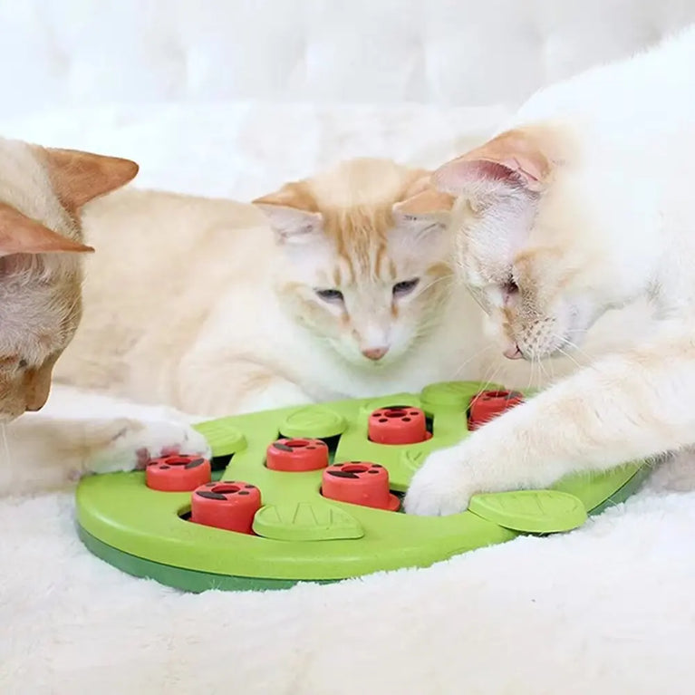 Cat Puzzle Treat Toy Interactive Adjustable Difficulty Plastic Mental Stimulation Feeding Game