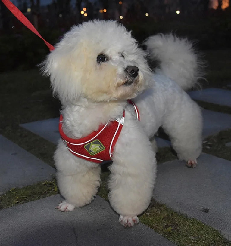 Reflective Breathable Mesh Puppy Dog Harness And Leash Set No Pull Vest