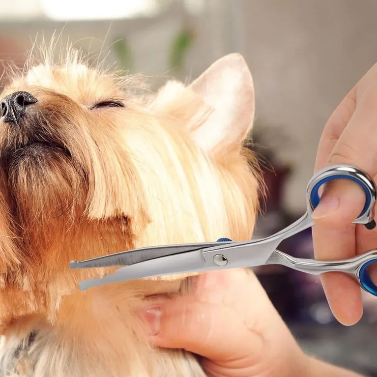 Professional Safe Round-Tip Pet Grooming Scissors | Stainless