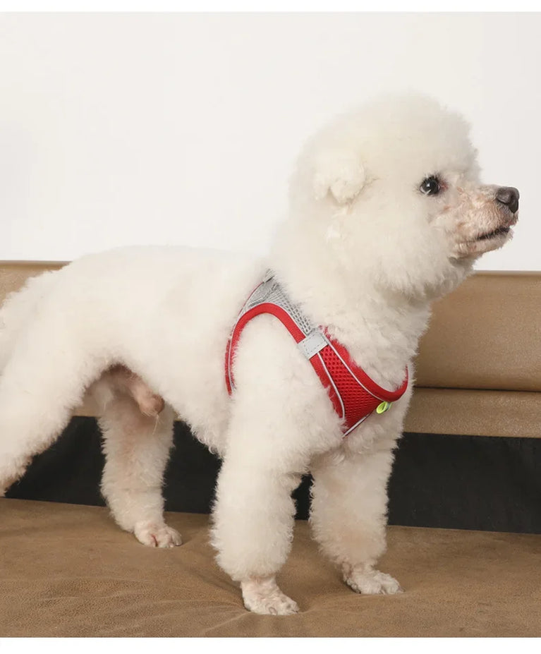 Dog Harness Leash Set Small Dogs Chihuahua Frenchie No Pull Vest