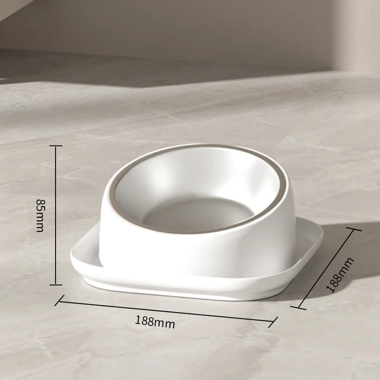 15° Tilted Raised Cat Feeder with Stainless Bowl Anti Slip Base