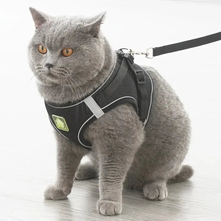 Reflective Breathable Mesh Puppy Dog Harness And Leash Set No Pull Vest