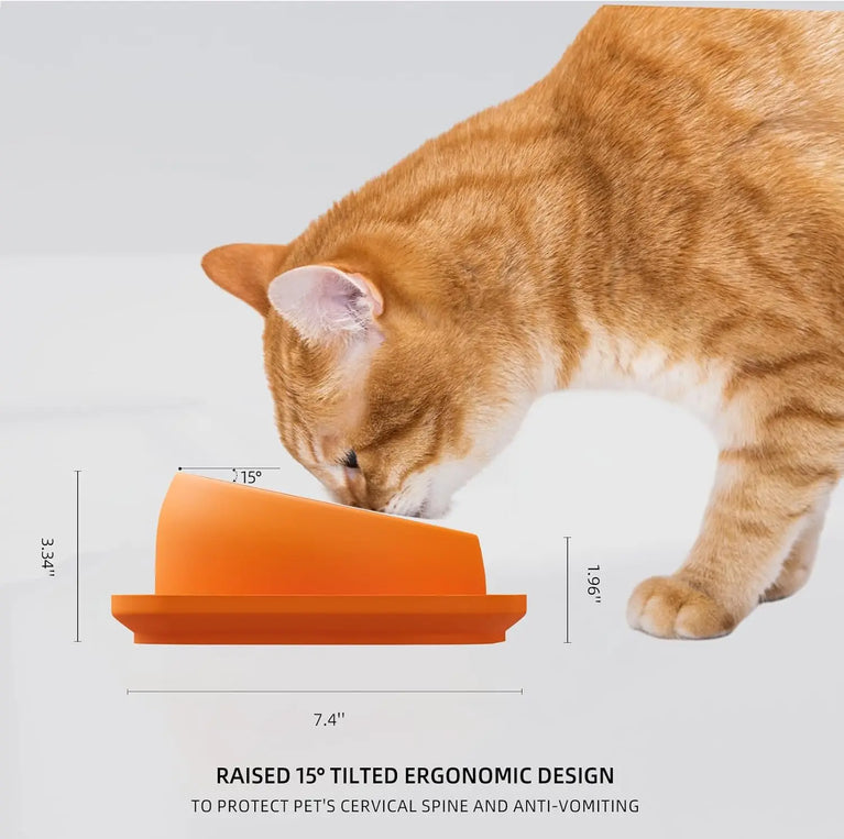 15° Tilted Raised Cat Feeder with Stainless Bowl Anti Slip Base