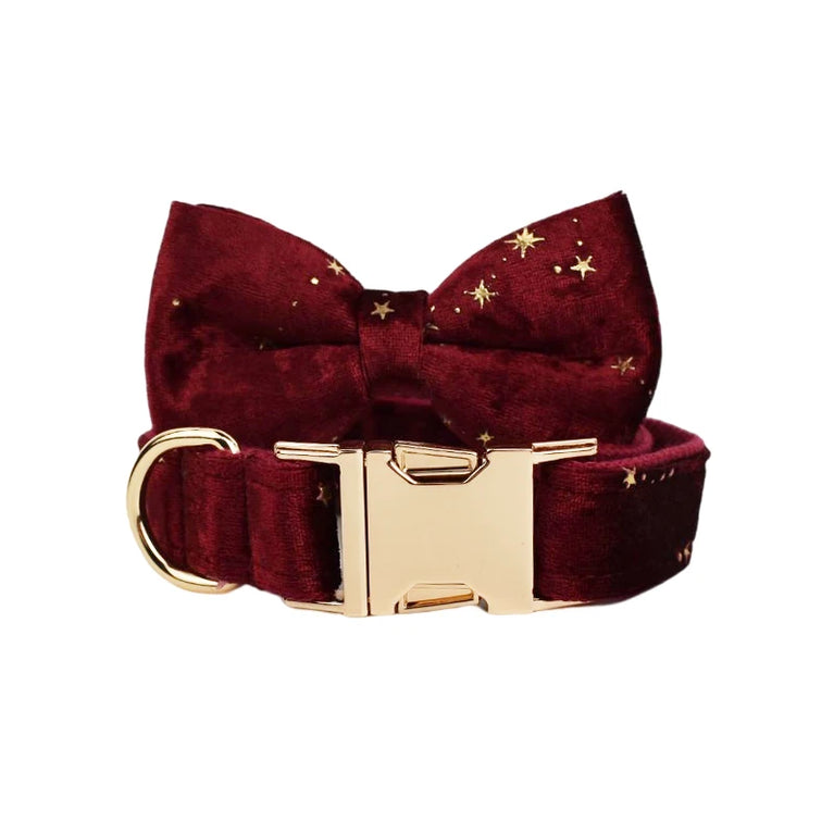 Luxury Fashion Dog Collar Leashes Harness Bow Set