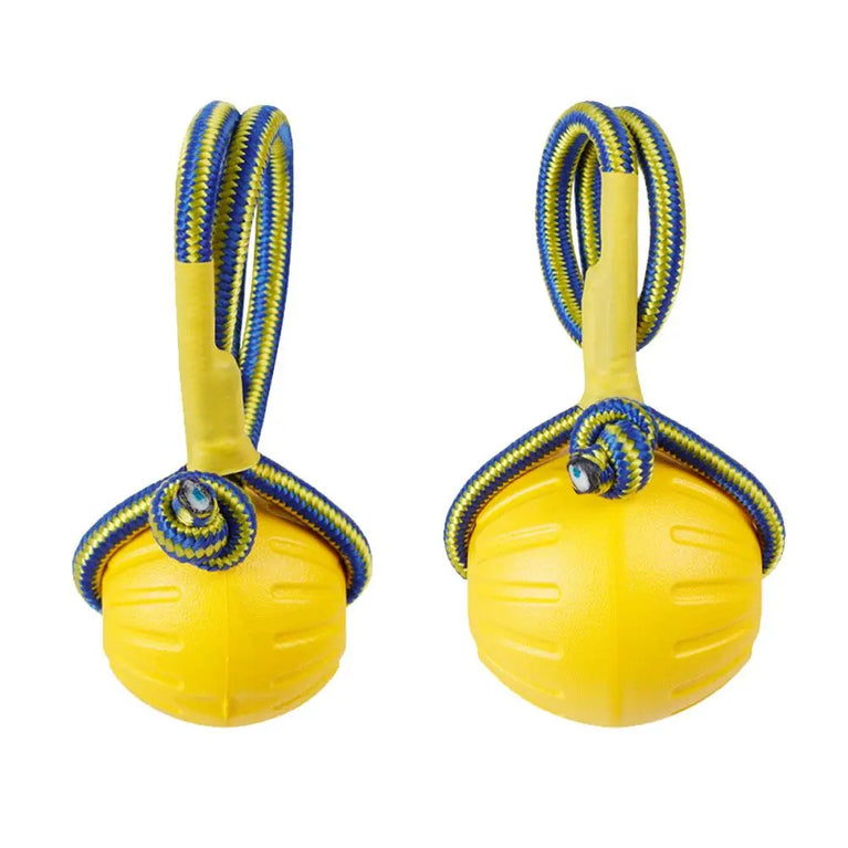 Indestructible Rubber Ball Dog Toy for Fetch Chew Training Play