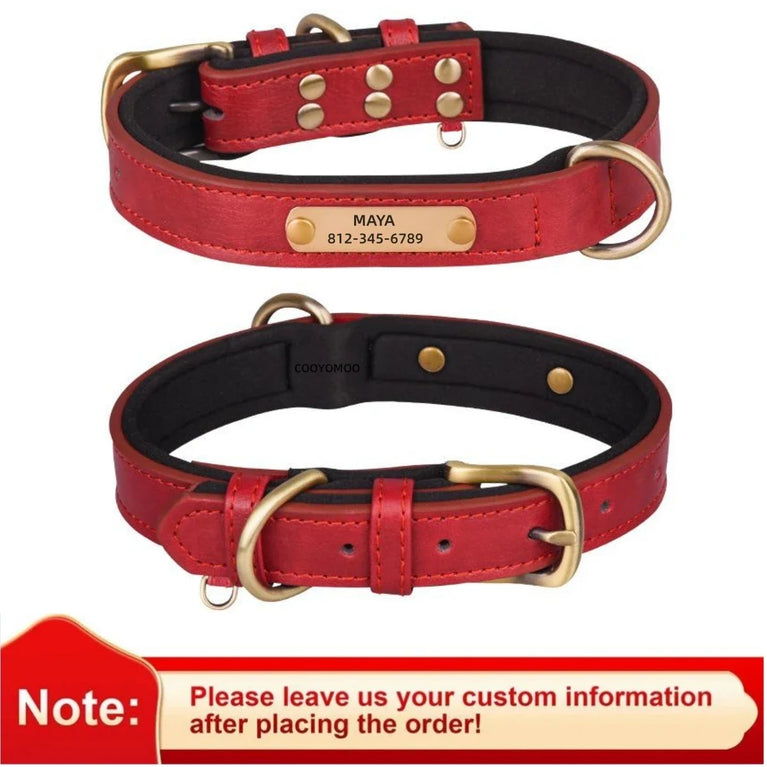 Personalized Leather Dog Collar | Padded ID Nameplate Collar