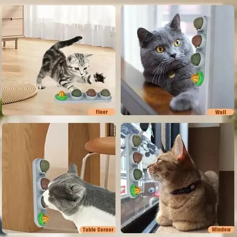 4 in 1 Rotating Catnip Silver Vine Ball Wall Stick Toy Kit
