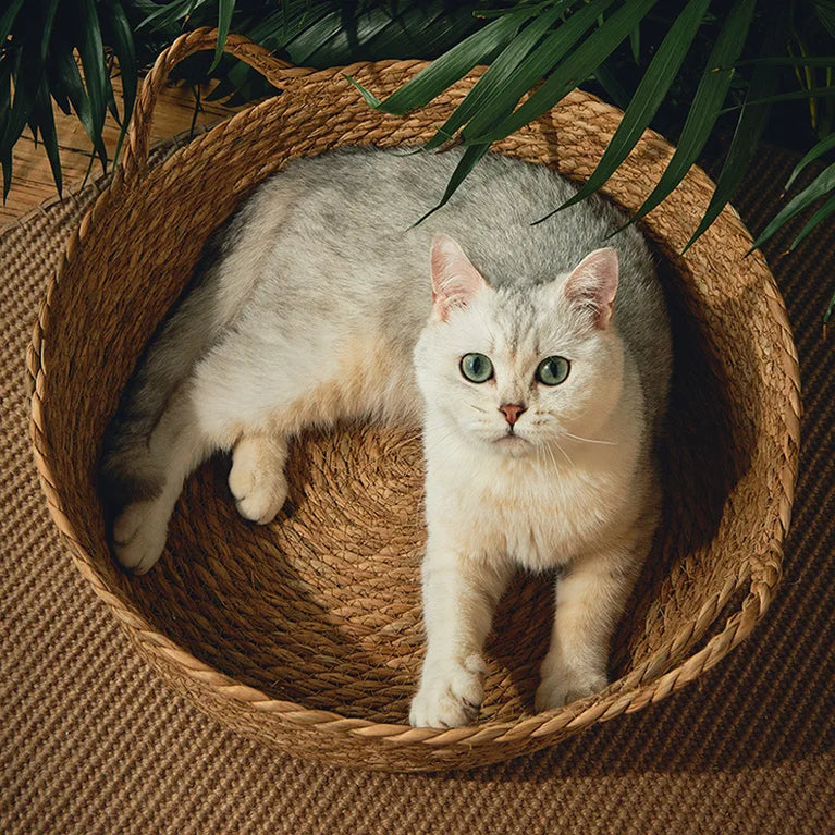 Cat Bed Basket Cooling & Heating Self Warm Cozy Nest