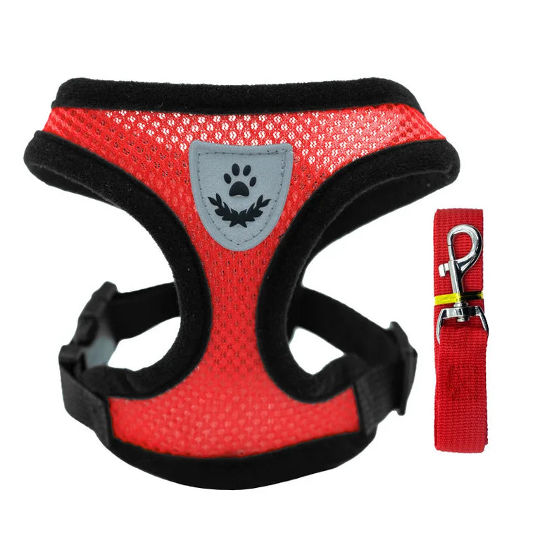 Breathable Mesh Cat Small Dog Harness And Leash Kitten Puppy Adjustable Vest Set