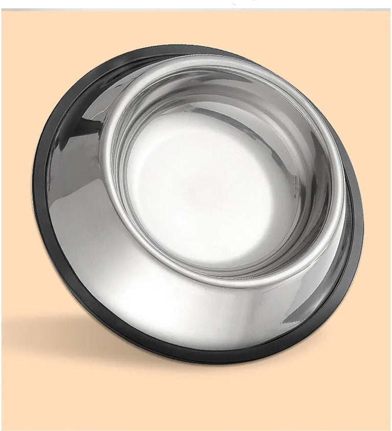 Anti-Slip Stainless Steel Dog Bowl | Anti-Tip & Anti-Ant Feeder