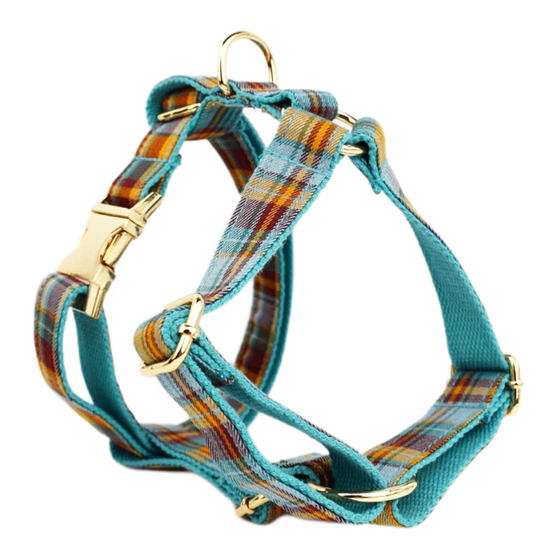 High Quality Personalized Dog Collar Leash Set Quick Release XS XL