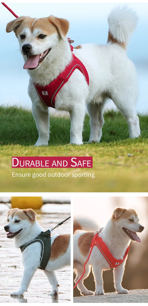 Adjustable Reflective Dog Harness Leash Set Step-In Soft Air Mesh Vest