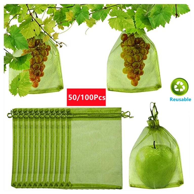 Fruit Protection Netting Bags | Reusable Organza Mesh for Pest & Bird Control