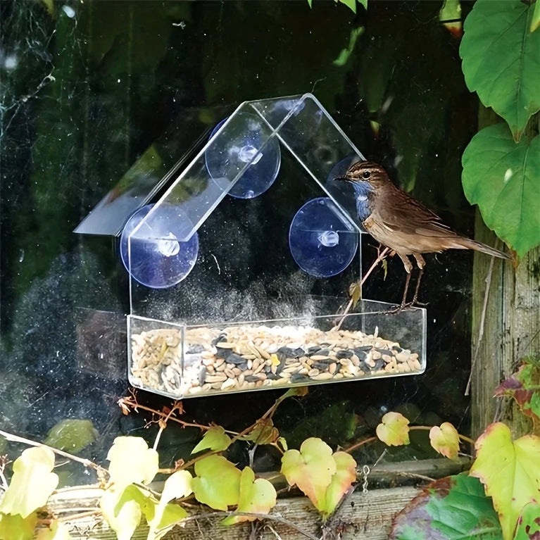 Clear Acrylic Window Bird Feeder | Transparent Wall-Mounted Wildlife Station