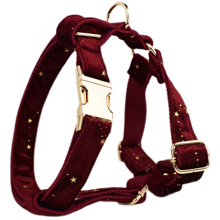 Luxury Fashion Dog Collar Leashes Harness Bow Set