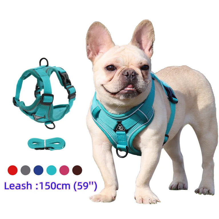 LED Light Reflective Dog Harness Vest With Leash Adjustable Pet Set