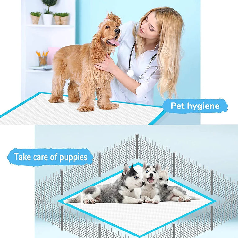 Super Absorbent Pet Diaper Dog Training Pee Pads Quick-dry Mat