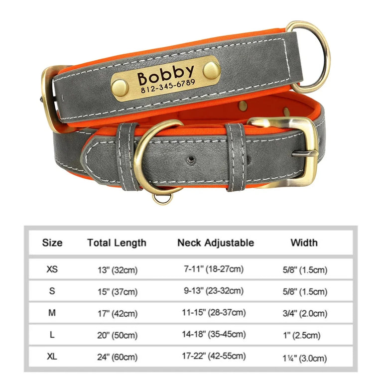 Personalized Leather Dog Collar | Padded ID Nameplate Collar