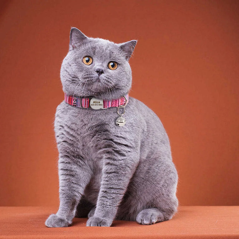 Cat Collar Free Personalized Kitten Collar Engraved Antilost Adjustabl
