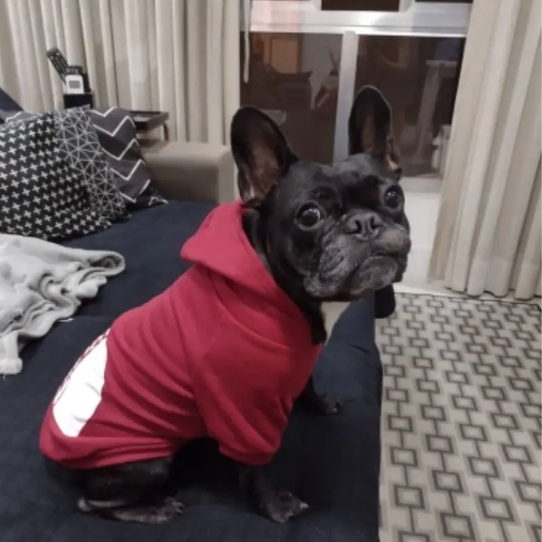 Warm Winter Dog Hoodie | Fashion Fleece Clothes for All Dogs