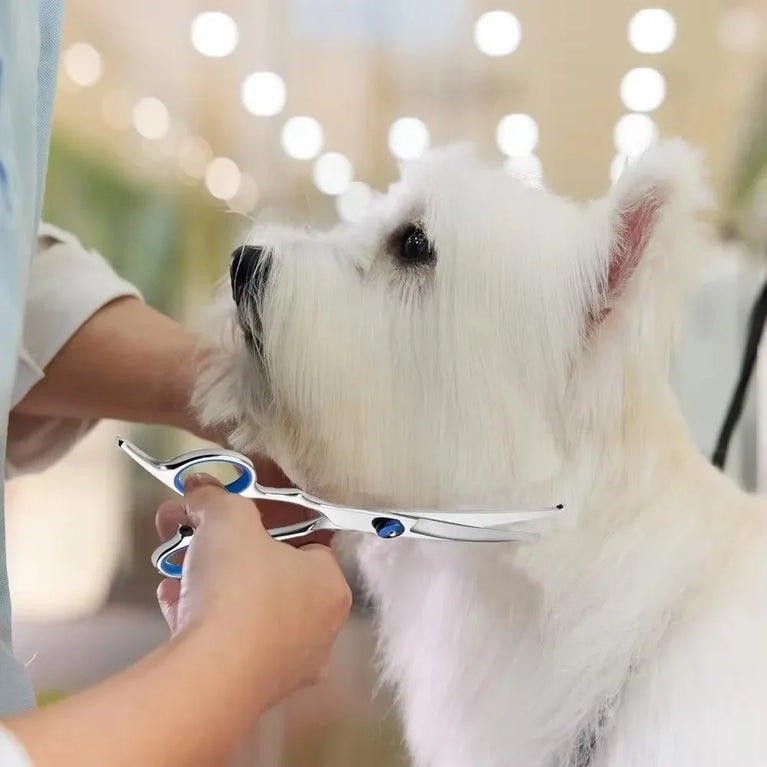 Professional Safe Round-Tip Pet Grooming Scissors | Stainless