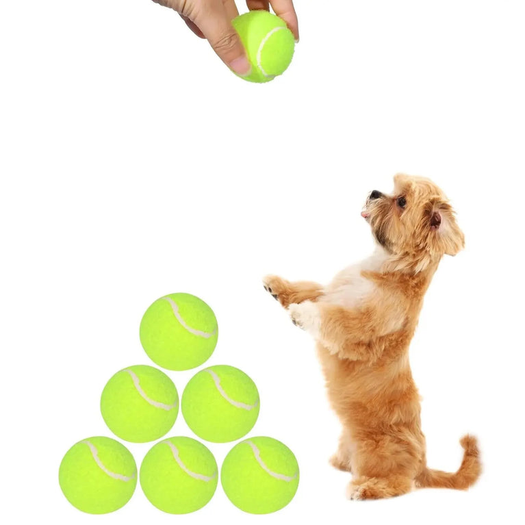 Tennis Balls for Dogs 2-Inch Compatible Automatic Ball Launchers