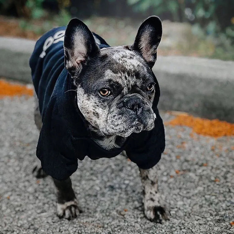 Warm Winter Dog Hoodie | Fashion Fleece Clothes for All Dogs