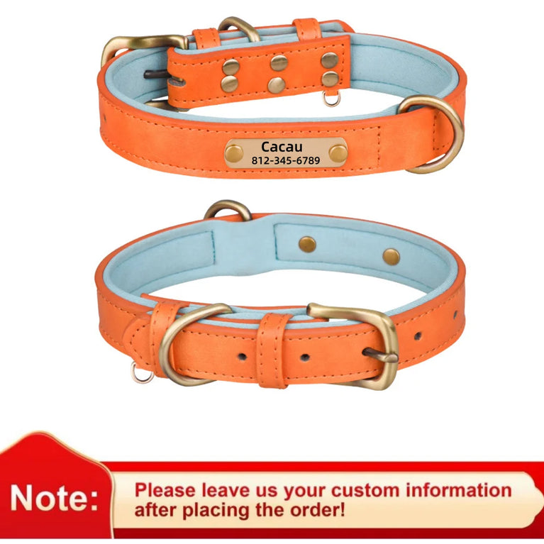 Personalized Leather Dog Collar | Padded ID Nameplate Collar