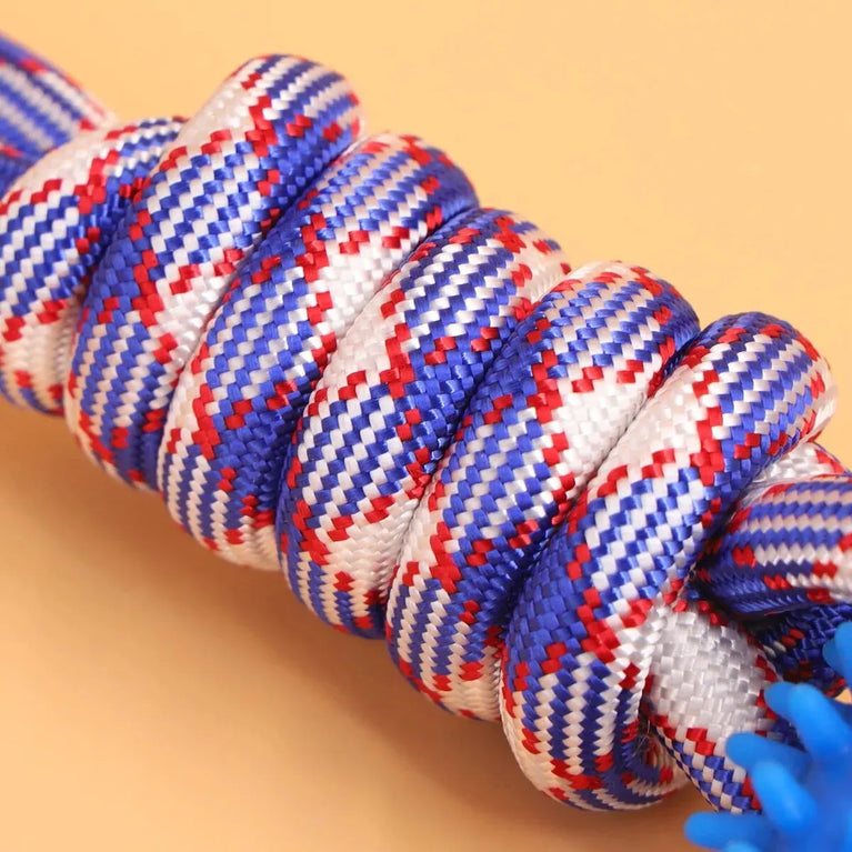 Interactive Training Pet Toy Ring Spiked Dog Chew Teeth Cleaning