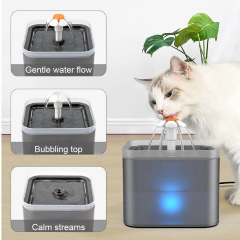 2L Cat Water Fountain LED Filter Pet Drinking Dispenser Bowl